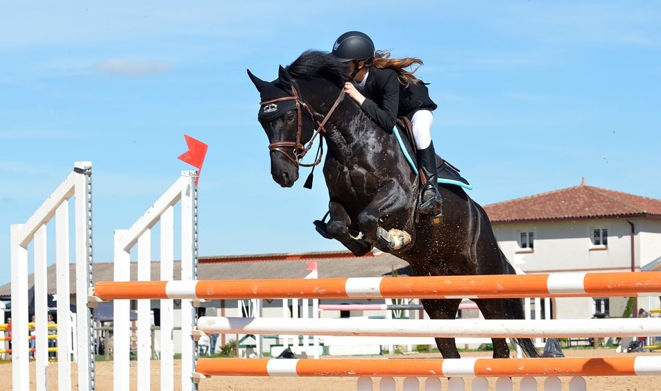 horse_jumping